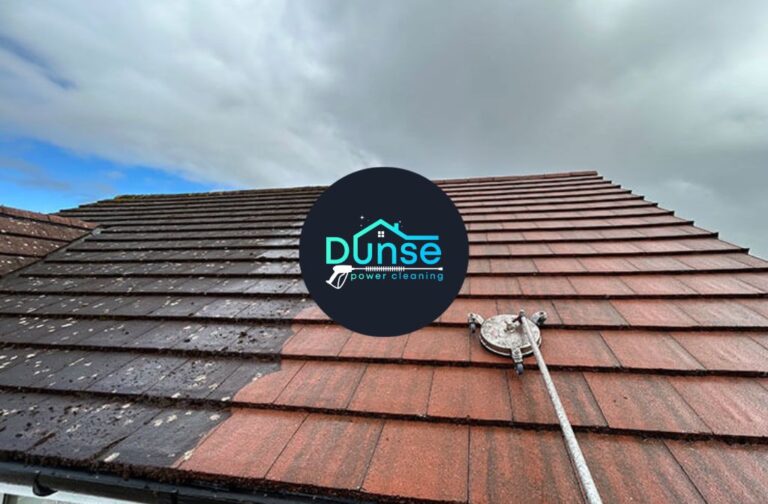 How Much Is a Roof Clean