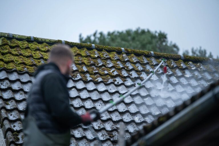 Does Moss Damage Roof Tiles?