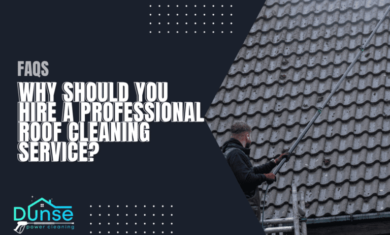 Why Should You Hire a Professional Roof Cleaning Service