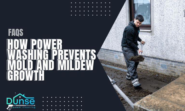 How Power Washing Prevents Mold and Mildew Growth