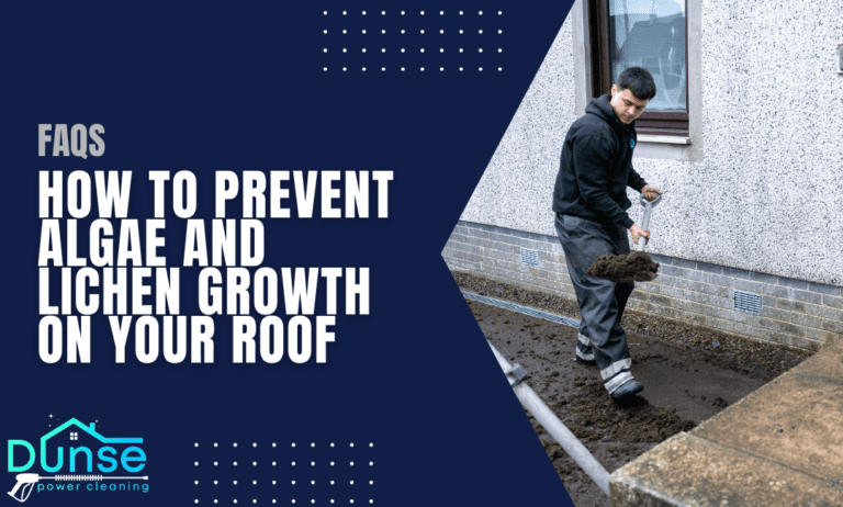 How to Prevent Algae and Lichen Growth on Your Roof