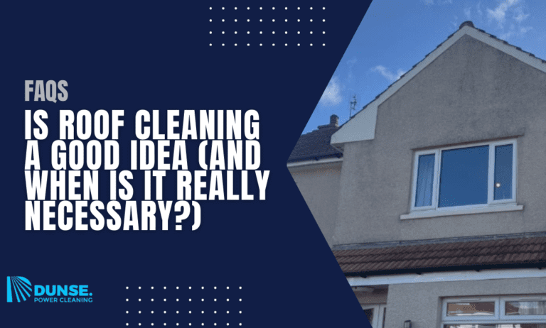 Is Roof Cleaning a Good Idea (and When Is It Really Necessary?)
